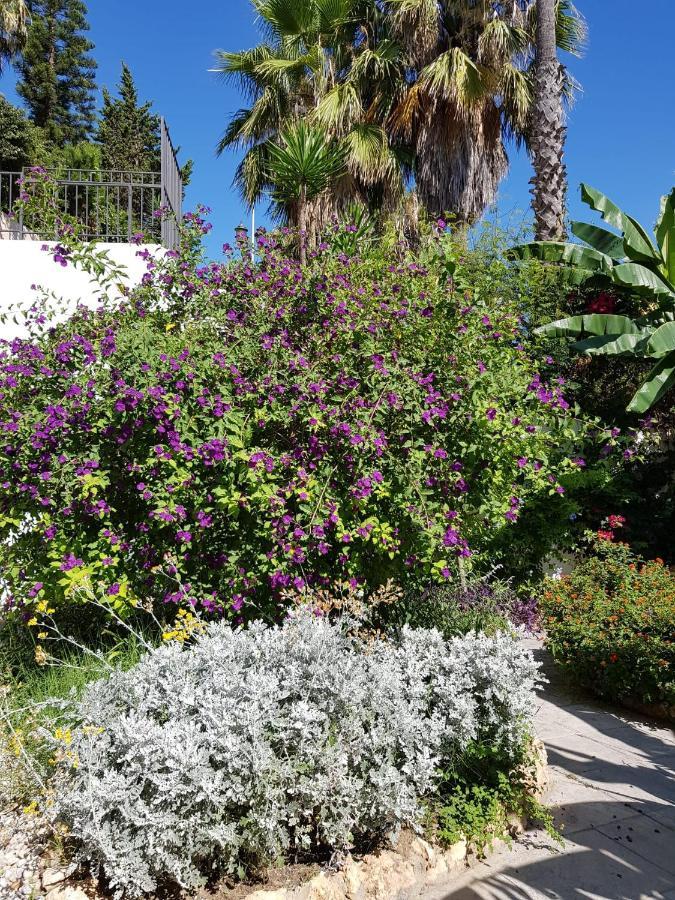 Deluxe Studio Athos 50 Mp Garden Patio Benalmadena Golf & Beach Bagian luar foto