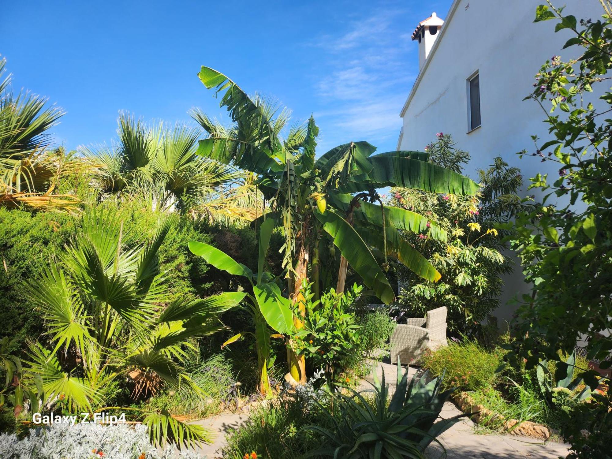 Deluxe Studio Athos 50 Mp Garden Patio Benalmadena Golf & Beach Bagian luar foto