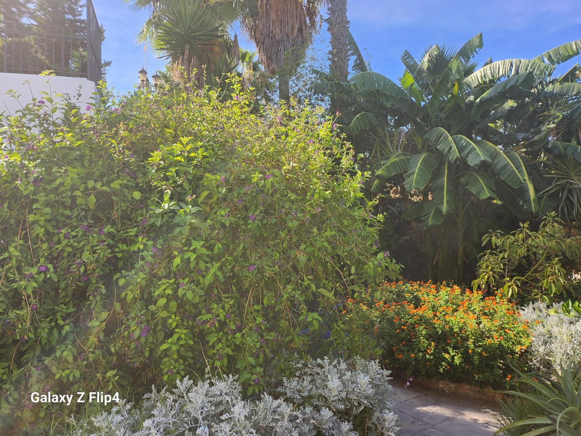 Deluxe Studio Athos 50 Mp Garden Patio Benalmadena Golf & Beach Bagian luar foto